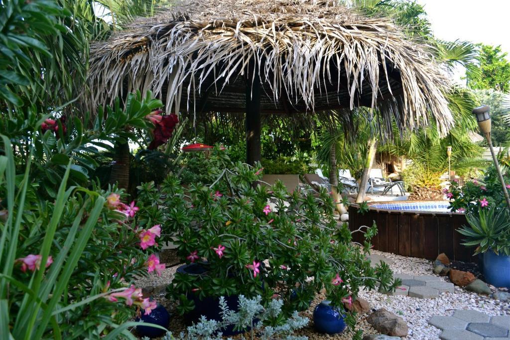 Bananas Apartments Adults Only Palm Beach Zewnętrze zdjęcie