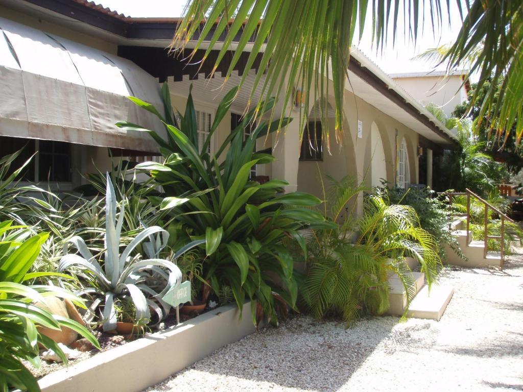Bananas Apartments Adults Only Palm Beach Zewnętrze zdjęcie