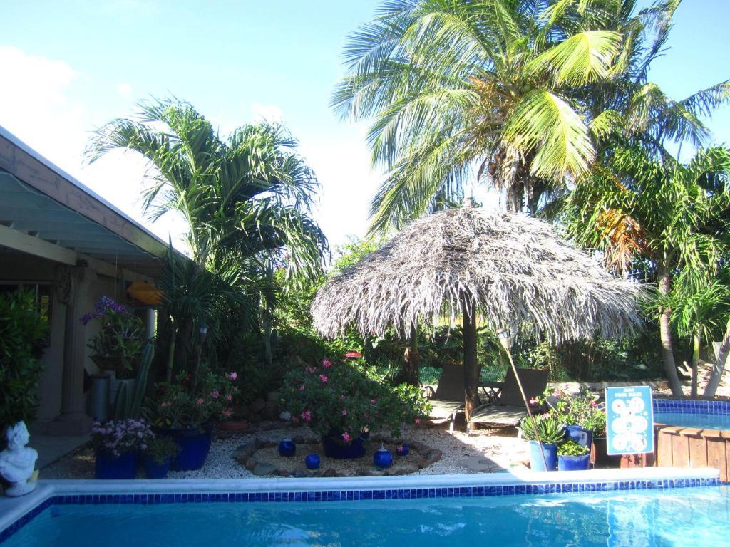 Bananas Apartments Adults Only Palm Beach Zewnętrze zdjęcie